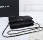 Chanel woc Classic Fortune Crossbody bag with sliver hardware Size: W19*H12*D4cm - Image 3