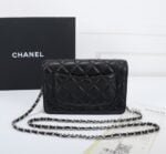 Chanel woc Classic Fortune Crossbody bag with sliver hardware Size: W19*H12*D4cm - Image 4