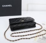 Chanel woc Classic Fortune Crossbody bag with gold hardware Size: W19*H12*D4cm - Image 3