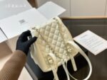 CHANEL Gabrielle Cowhide grain The homeless backpack 2 colors size: 20*20cm - Image 4
